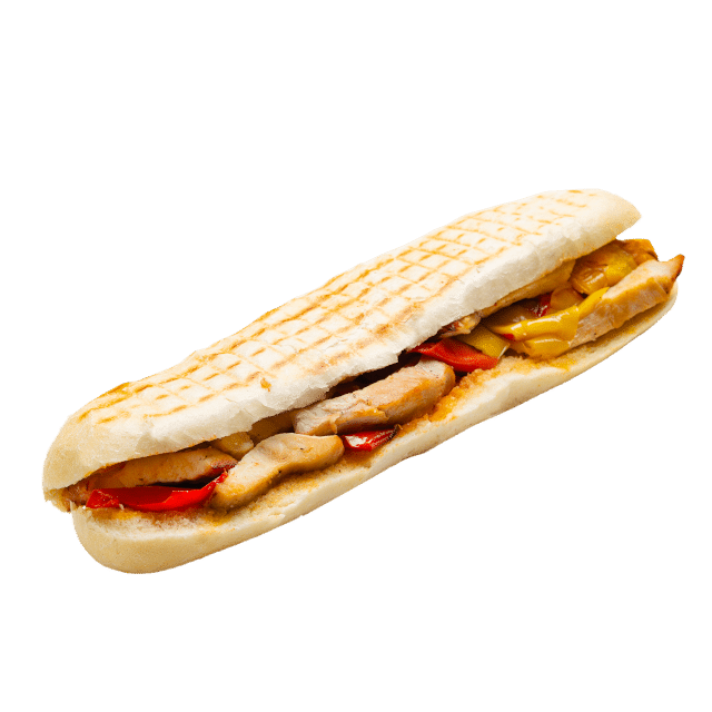 Panini